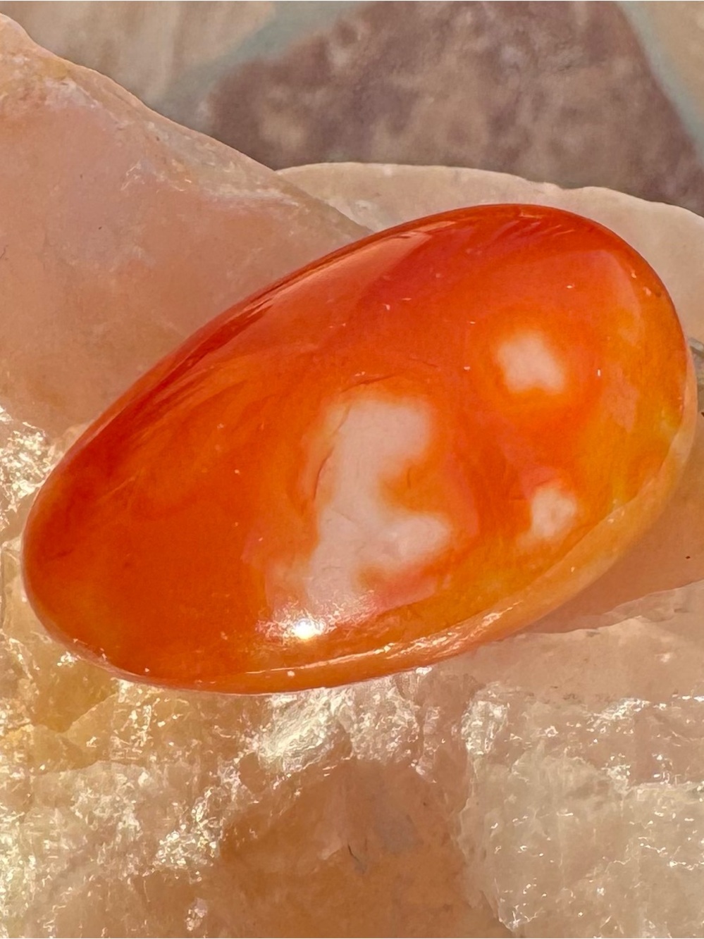 Natural Carnelian Agate Palm Stone Crystal Orange Chalcedony Freeform